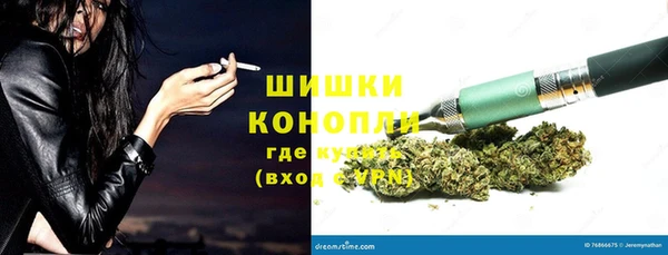гидра Сосновка