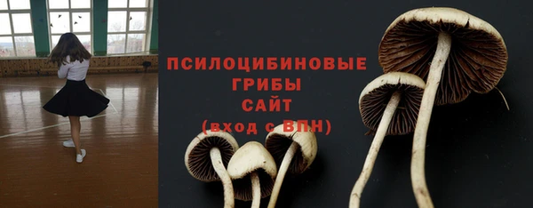 гашиш Сосновый Бор