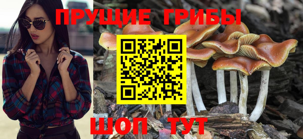 АМФЕТАМИН кристаллы  МАРИХУАНА  Сургут  ГАШИШ  МЕФ   NBOMe  Cocaine  Где продают наркотики? 