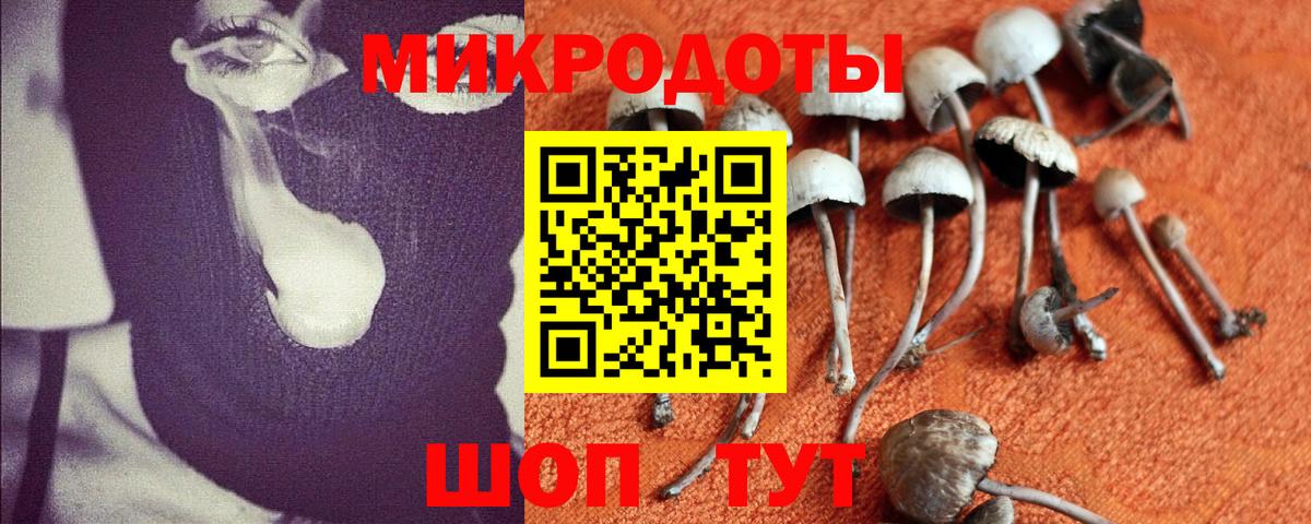 купить   Псилоцибиновые грибы прущие грибы  Сургут  Псилоцибиновые грибы прущие грибы 