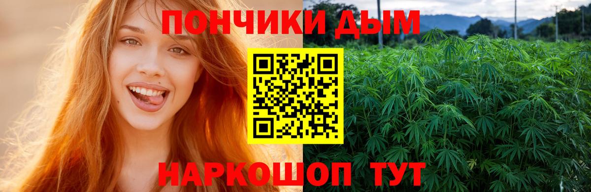 Конопля планчик Сургут